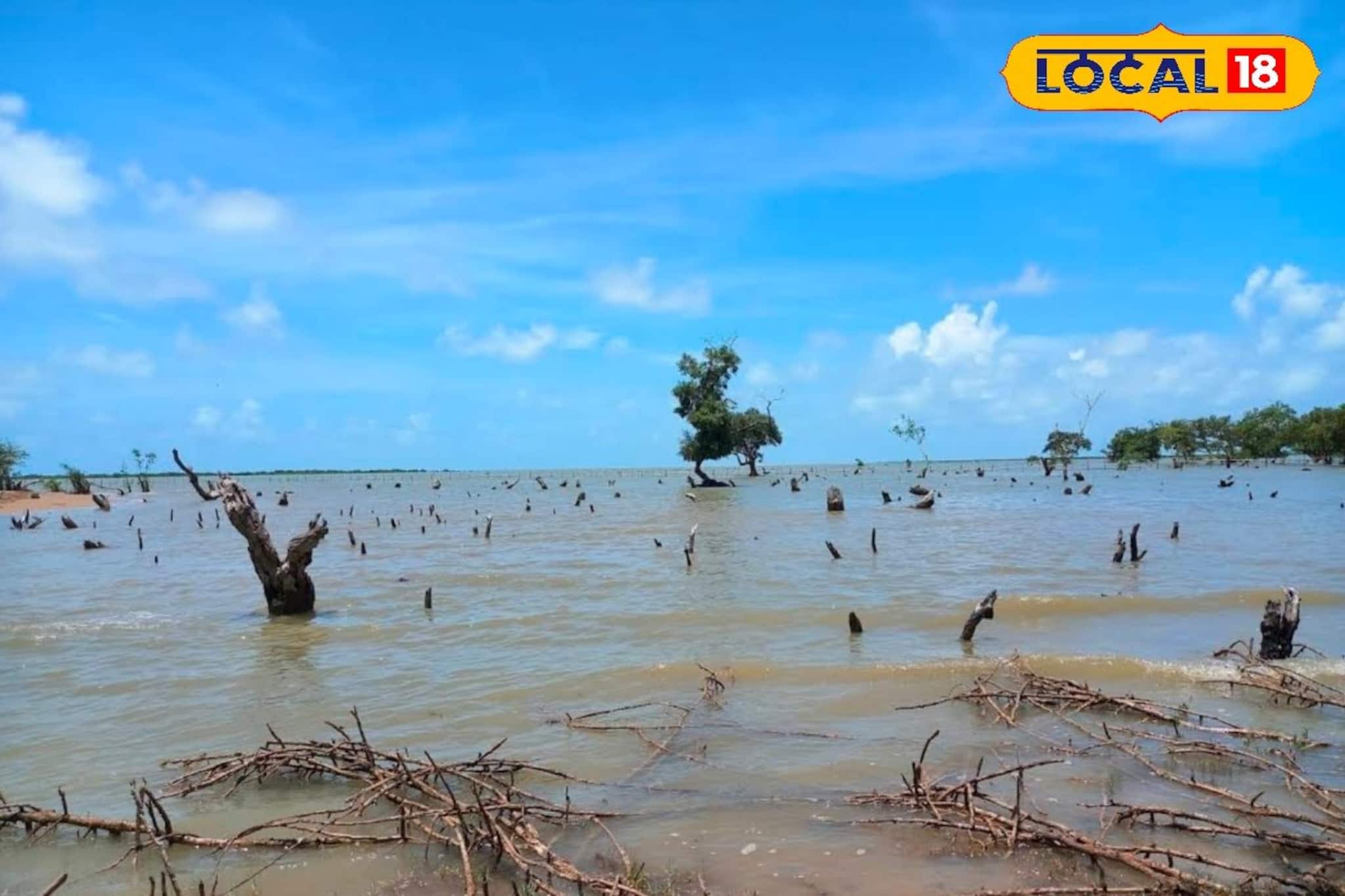 দিঘার ভিড় এড়িয়ে এবার যান ‘গোপন বিচ’! টাটকা মাছ, লাল কাঁকড়া আর নিস্তব্ধতা, এই জায়গা মিস করলে আফসোস