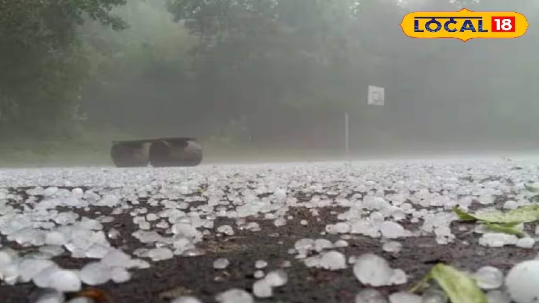বসন্তের শিলাবৃষ্টি যেন অভিশাপ! শিলার আঘাতে চাষিদের পরিশ্রমের ফসল কার্যত ধ্বংসস্তূপ