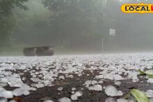Hailstorm Disaster in North Bengal: বসন্তের শিলাবৃষ্টি যেন অভিশাপ! শিলার আঘাতে চাষিদের পরিশ্রমের ফসল কার্যত ধ্বংসস্তূপ, তছনছ  বহু বাড়িঘর