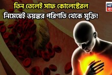 High Cholesterol Control Tips: রান্নার তিন তেলেই ধুয়ে মুছে সাফ কোলেস্টেরল! বদলে দেবে জীবন, স্ট্রোক থেকে হার্ট অ্যাটাকের সম্ভাবনা কমবে