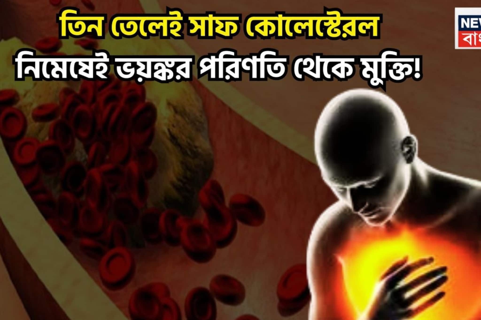High Cholesterol Control Tips: রান্নার তিন তেলেই ধুয়ে মুছে সাফ কোলেস্টেরল! বদলে দেবে জীবন, স্ট্রোক থেকে হার্ট অ্যাটাকের সম্ভাবনা কমবে