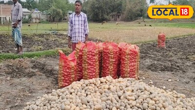 আলু চাষিদের ক্ষতিপূরণের জন্য আবেদন করতে চালু হেল্প ডেস্ক