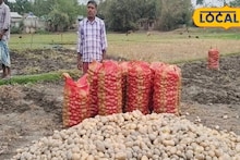 Agriculture News: আলু চাষিদের ক্ষতিপূরণ দেবে সরকার! জেলায় চালু করা হল ২৫টি হেল্প ডেস্ক, কী কী নথি লাগবে, কীভাবে আবেদন করতে হবে জানুন