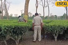 Jalpaiguri News: অর্ধ পচাগলা অবস্থা...! মাটিয়ালির চা বাগান থেকে লেপার্ডের মৃতদেহ উদ্ধার, আতঙ্কিত শ্রমিকরা