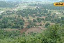 Weekend Trip in Jhargram: দিঘা, মন্দারমনি অনেক হল! ঘুরে আসুন শাল-পিয়াল অরণ্যে ঘেরা হাতিবাড়ি, দু'দিনের ছুটিতে সেরা রিফ্রেশমেন্ট পাবেন