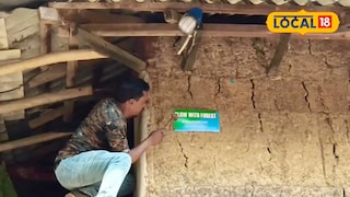 আলো লাগানো হচ্ছে আলো লাগানো হচ্ছে