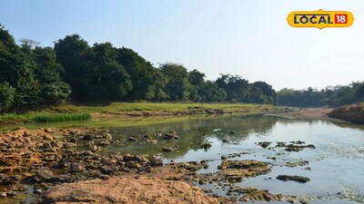 কাঁকড়াঝোড় 