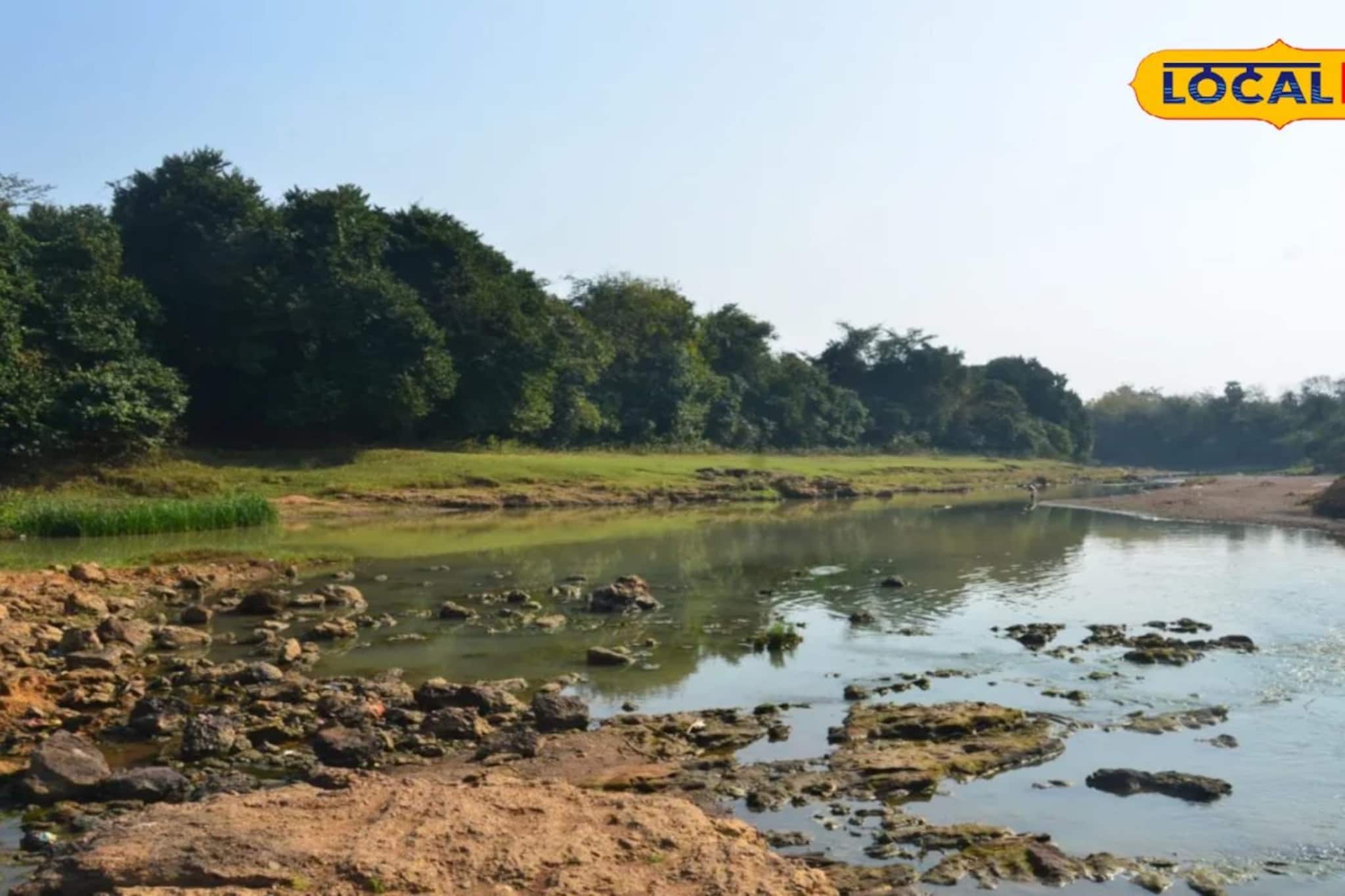 দক্ষিণবঙ্গে ডুয়ার্সের সৌন্দর্য! পাহাড়, জঙ্গল, ঝরনা! গরমের ছুটিতে গন্তব্য হোক 'টেনিদার জঙ্গল'