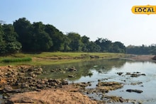 Jhargram Offbeat: দক্ষিণবঙ্গে ডুয়ার্সের সৌন্দর্য! পাহাড়, জঙ্গল, ঝরনা কী নেই এখানে, গরমের ছুটিতে গন্তব্য হোক 'টেনিদার জঙ্গল'