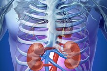 Kidney Cancer Early Symptoms: এগুলিই কিডনি ক্যানসারের প্রাথমিক লক্ষণ, আপনার শরীরে 'এই' পরিবর্তন দেখলে সাবধান, প্রাণঘাতী হতে পারে