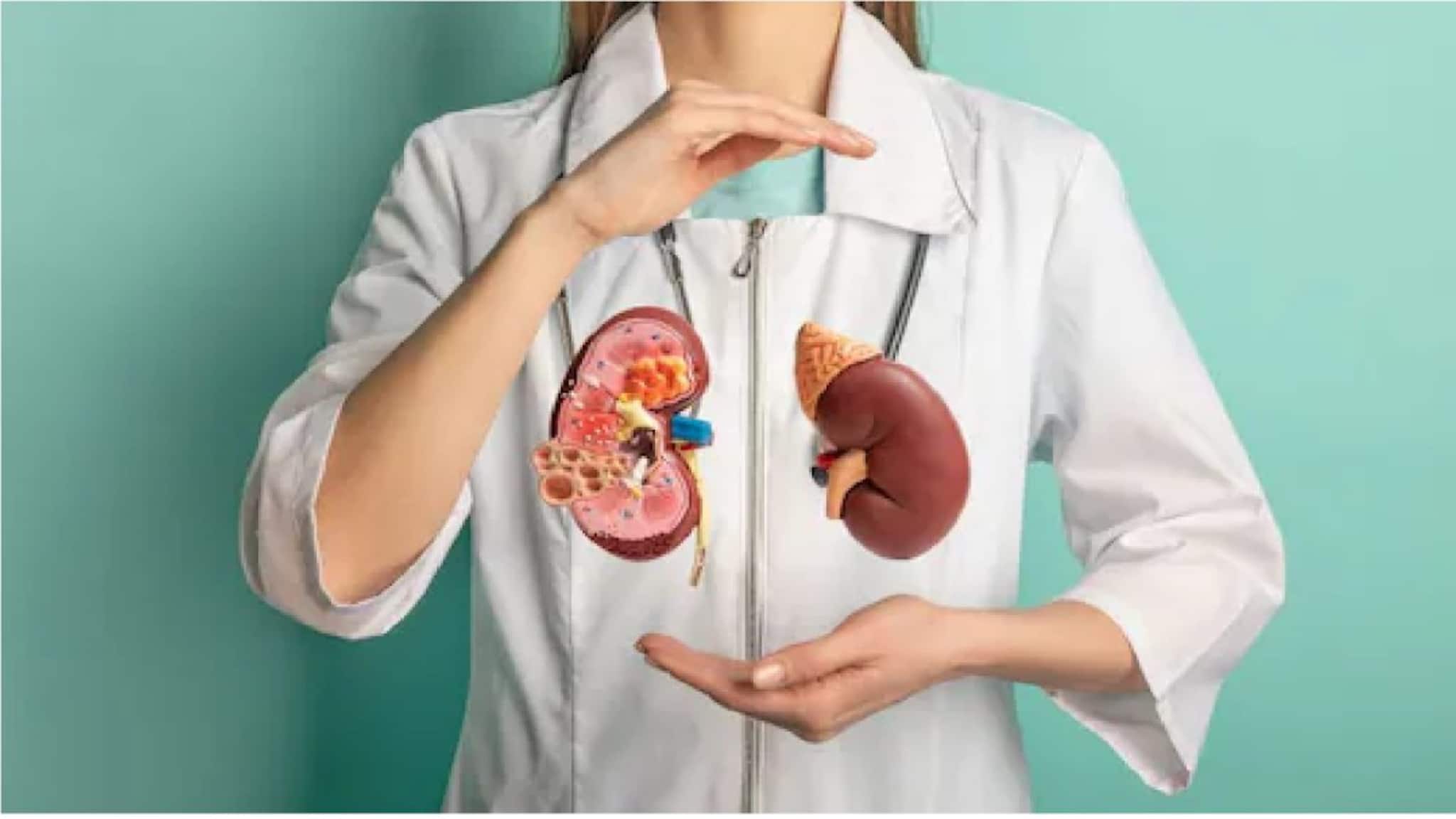 Kidney Health: 'কিডনি' সুস্থ রাখতে কম সোডিয়াম,পটাশিয়াম খেতে হবে, 'কিডনি' ভাল রাখতে কোন দুই ডাল খাবেন? মটর-মুসুর নয় কিন্তু