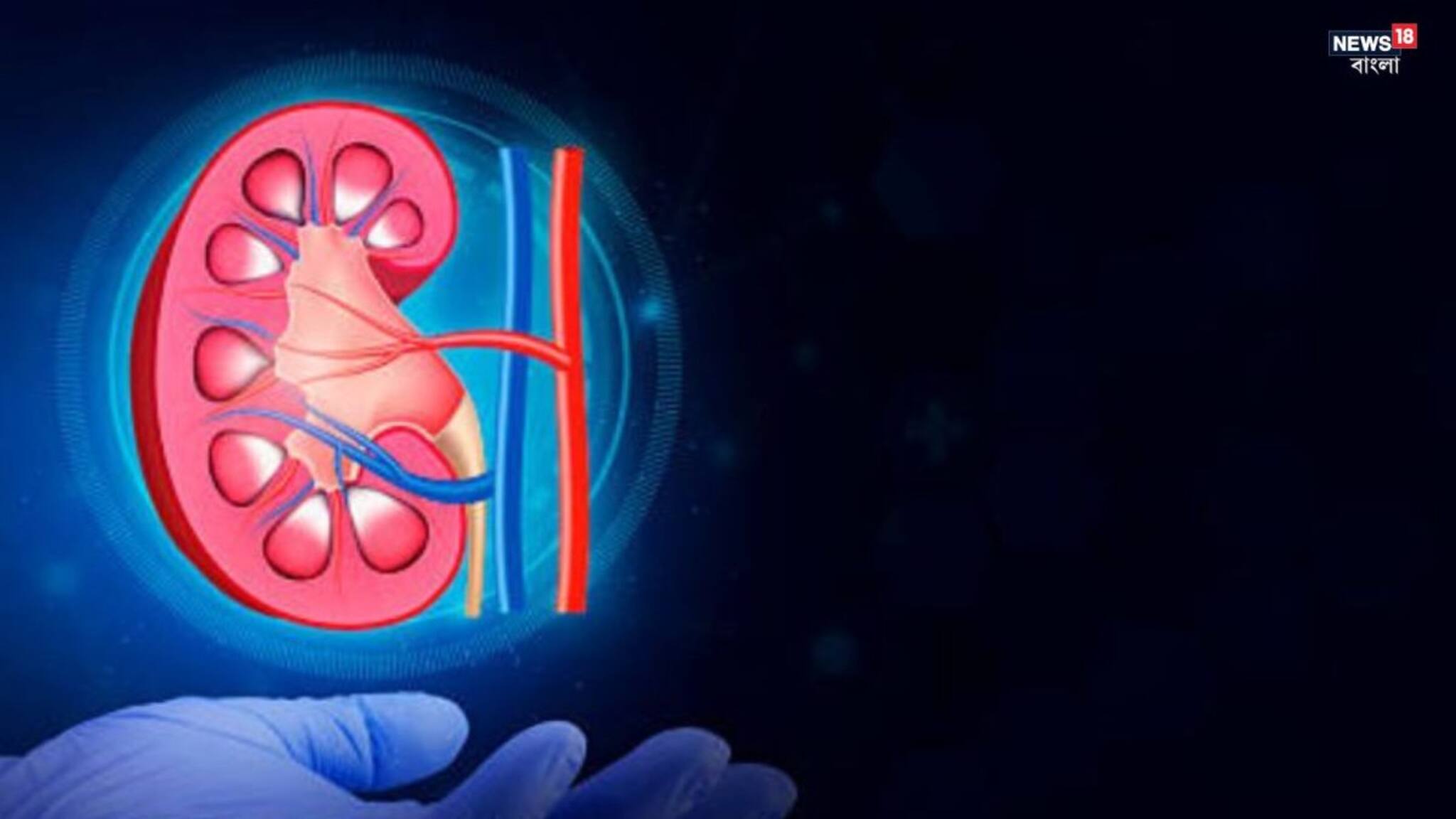 Kidney Transplant: কিডনি প্রতিস্থাপনের পর বিরল চিকিৎসা সাফল্য! উচ্চঝুঁকির গর্ভধারণ সামলে সুস্থ মা ও নবজাতক