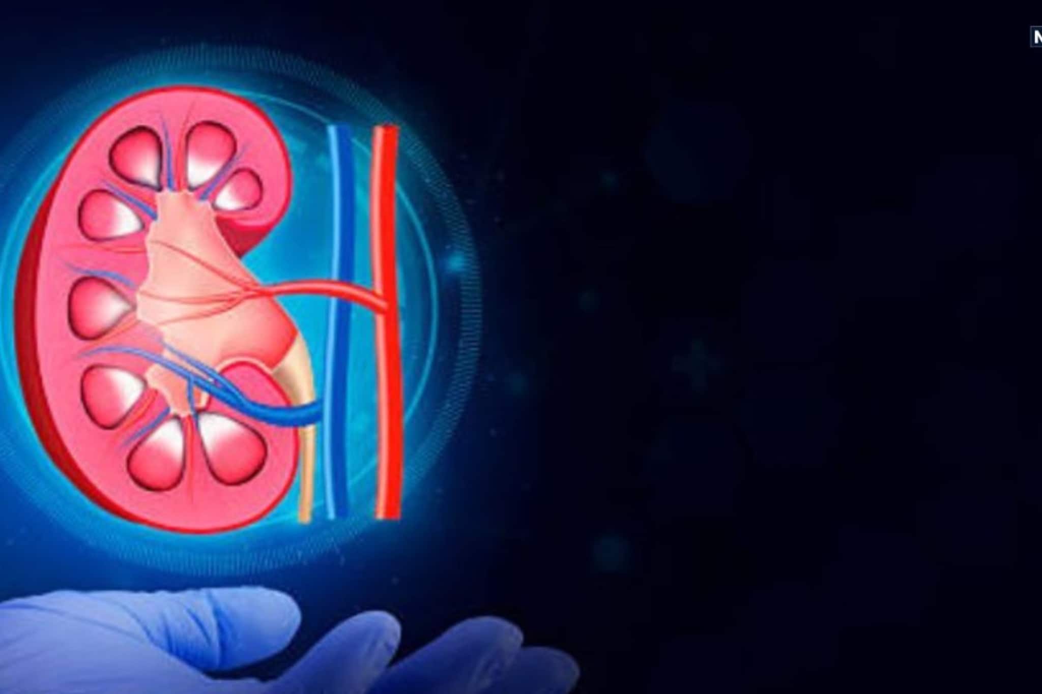 কিডনি প্রতিস্থাপনের পর বিরল চিকিৎসা সাফল্য! উচ্চঝুঁকির গর্ভধারণ সামলে সুস্থ মা ও নবজাতক