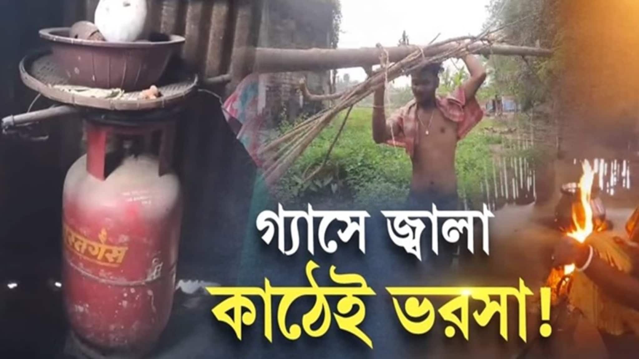 LPG Gas Price: দাম বেড়েছে রান্নার গ্যাসের, জ্বালানির খোঁজে ফের জঙ্গলে আদিবাসীরা