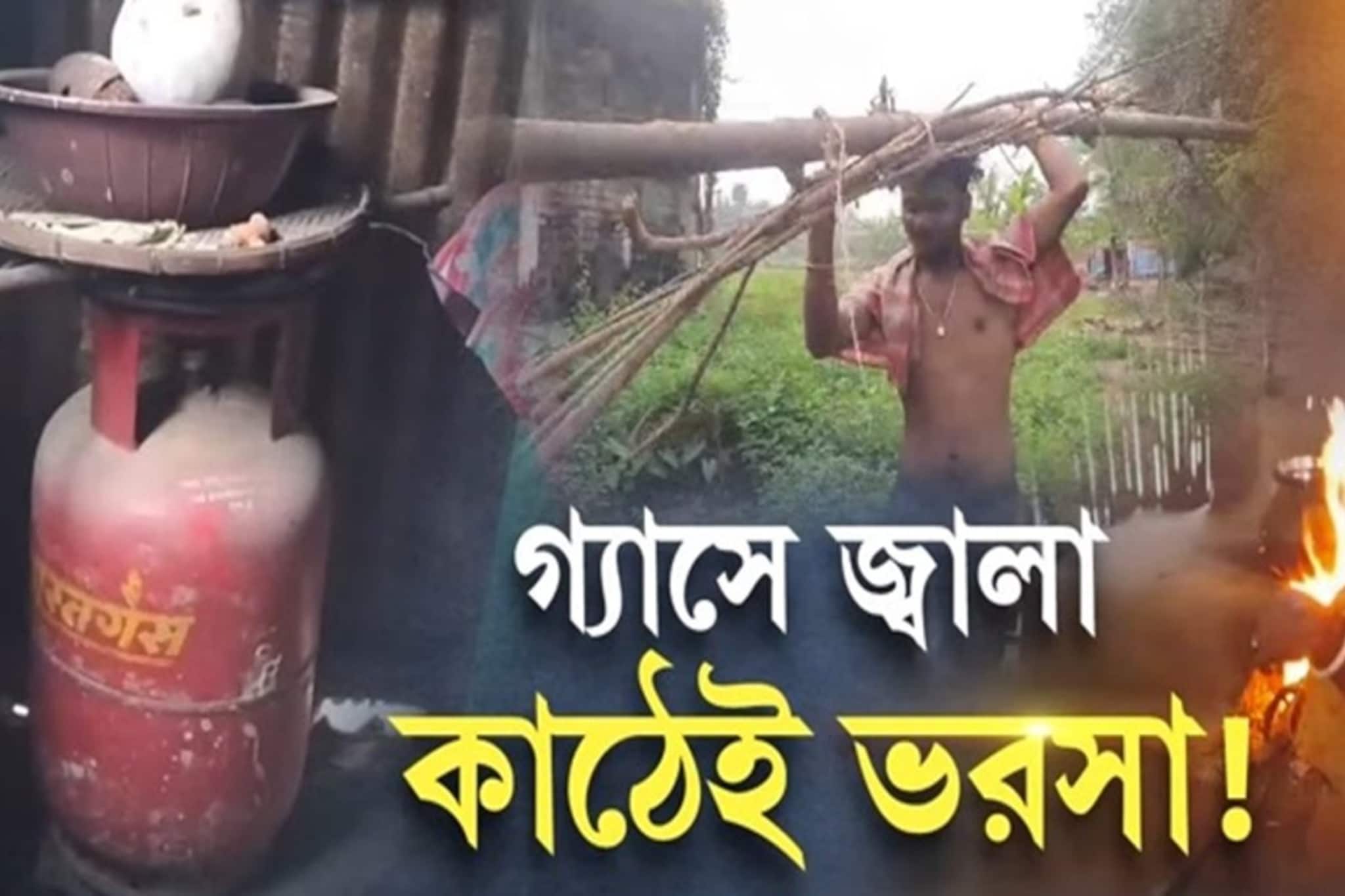 LPG Gas Price: দাম বেড়েছে রান্নার গ্যাসের, জ্বালানির খোঁজে ফের জঙ্গলে আদিবাসীরা