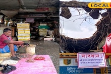 Malda News: বুকে আতঙ্ক নিয়ে ব্যবসা! ভয়ে পথ মারাচ্ছেন না ক্রেতারা, মালদহের গুরুত্বপূর্ণ মাছ বাজারের ভয়ানক অবস্থা, নতুন পরিকল্পনা পৌরসভার