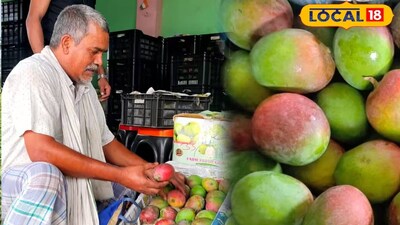 মালদহের বাজারে বিক্রি হচ্ছে দক্ষিণ ভারতের আম