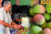 Malda News: নীলম, গোলাপখাস, ম্যাঙ্গো মাদ্রাজ...! মালদহের বাজারে ঝড় তুলেছে দক্ষিণ ভারতের রসালো সুস্বাদু আম, দাম কত করে জানুন