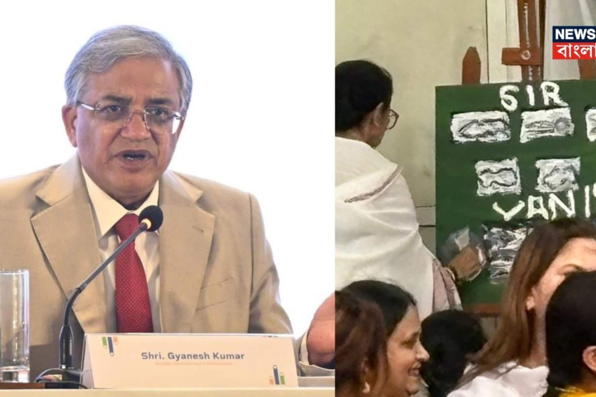 ওদিকে জ্ঞানেশ কুমারের বৈঠক, এদিকে ক্যানভাসে তুলি মমতার! কী আঁকলেন? ব্যাখ্যা দিলেন নিজেই