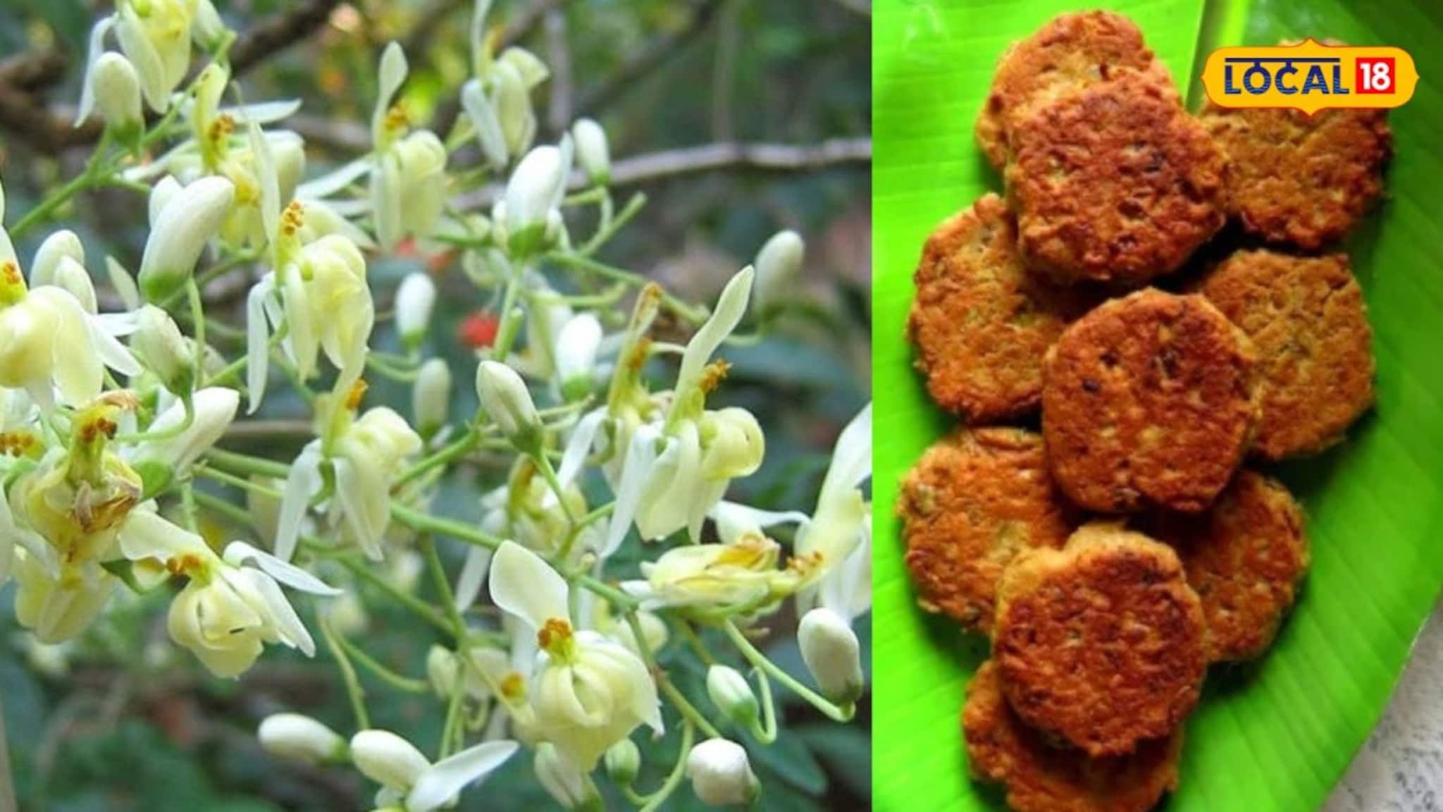 Sanjne Phool Bora Recipe: অ্যান্টি পক্স হিসেবে অব্যর্থ ওষুধ, সজনে ফুলের পকোড়া বানিয়ে খান, সহজ রেসিপি, মুখে স্বাদ লেগে থাকবে