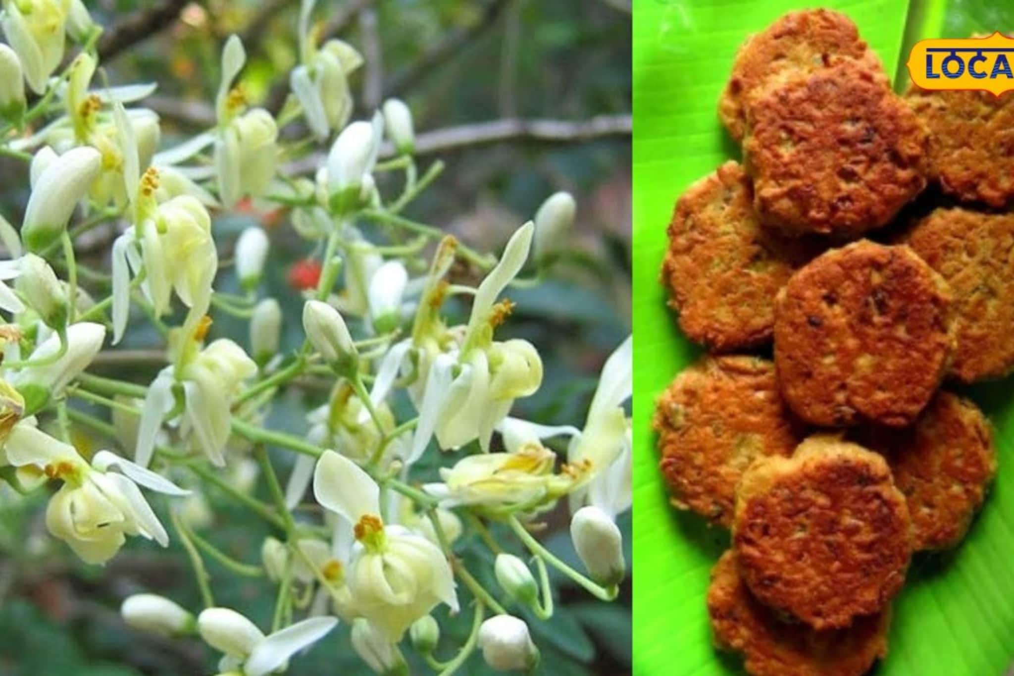 অ্যান্টি পক্স হিসেবে অব্যর্থ ওষুধ, সজনে ফুলের পকোড়া বানিয়ে খান, সহজ রেসিপি, দারুণ স্বাদ অ্যান্টি পক্স হিসেবে অব্যর্থ ওষুধ, সজনে ফুলের পকোড়া বানিয়ে খান, সহজ রেসিপি, দারুণ স্বাদ