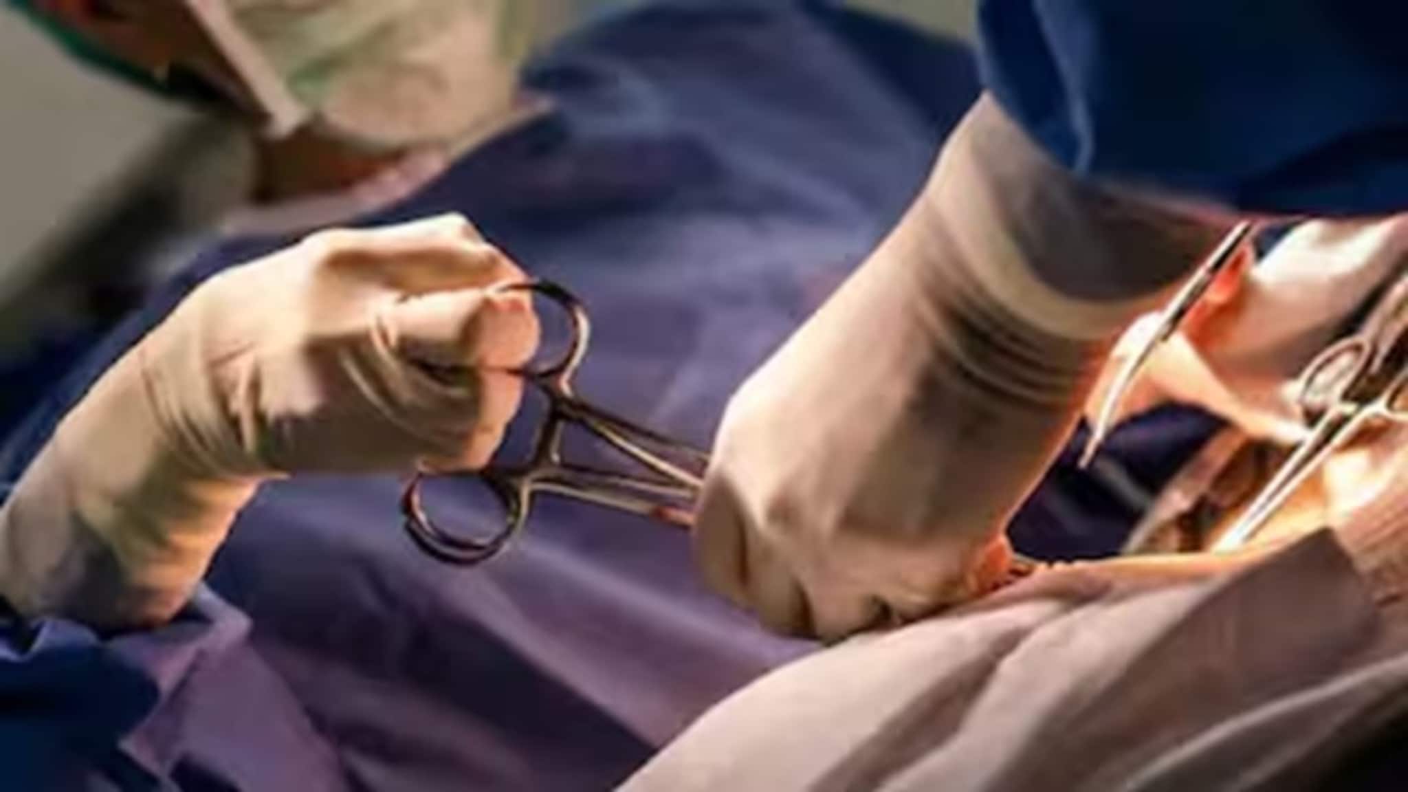 Viral News: মোবাইলের টর্চের আলোয় অস্ত্রোপচার? রোগীমৃত্যুর ১২ বছর পর চিকিৎসকের বিরুদ্ধে মামলা! কোথায়?