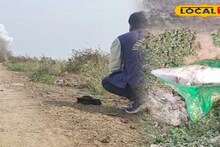 Bombs Recovered: ভোটের আগে মুর্শিদাবাদে আতঙ্ক, সুতি ও ফরাক্কা থেকে ৫০টির বেশি তাজা বোমা উদ্ধার, নির্বাচন ঘিরে অশান্তি ছড়ানোর লক্ষ্যে মজুত বিস্ফোরক!