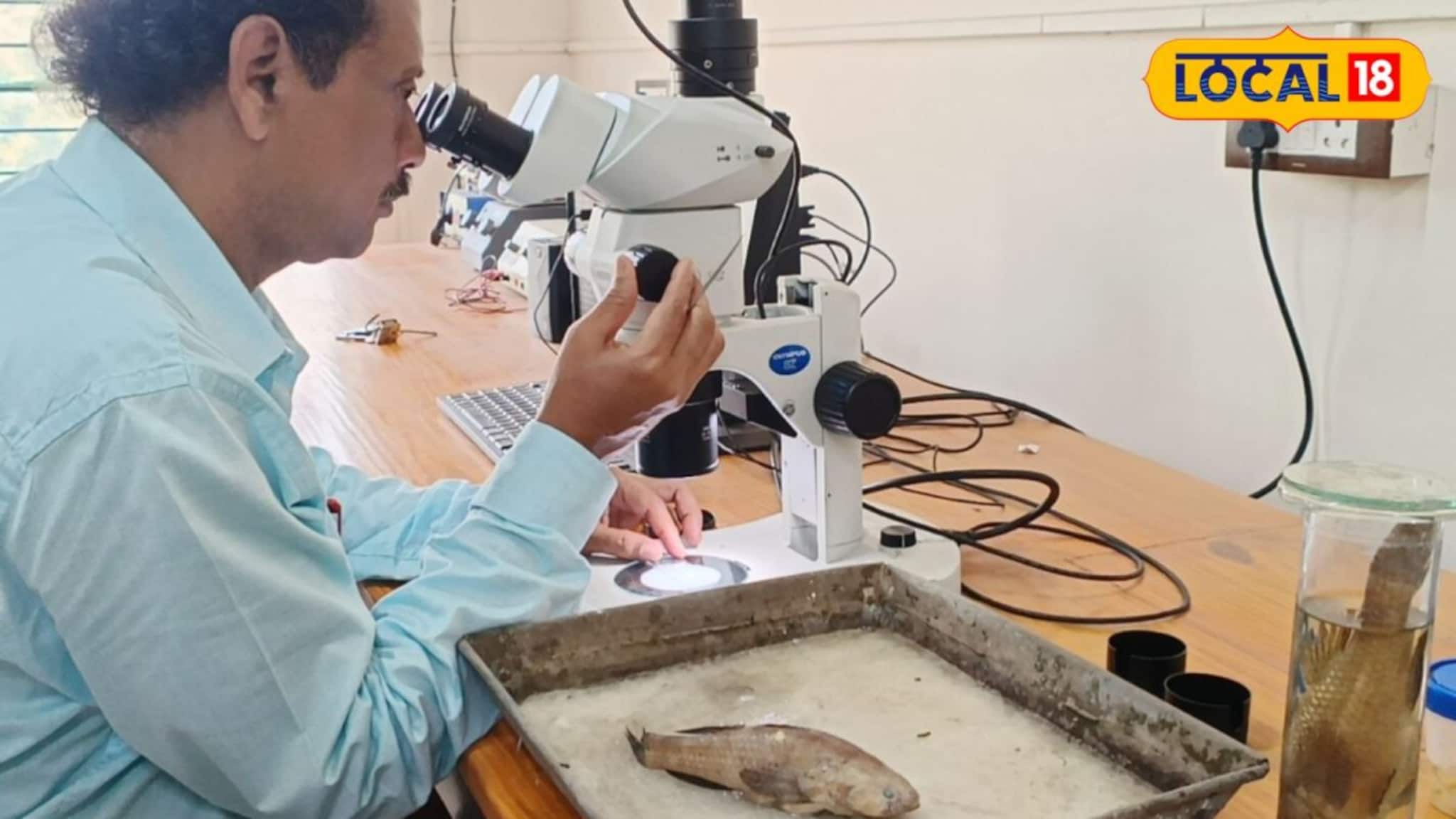 New Fish Species Rupnarayan River: বিস্ময়কর আবিষ্কার রূপনারায়ণে! প্রাণিবিদ্যার গবেষকরা খুঁজে পেলেন নতুন মাছ, নাম রাখা হল দেবী বর্গভীমার নামে