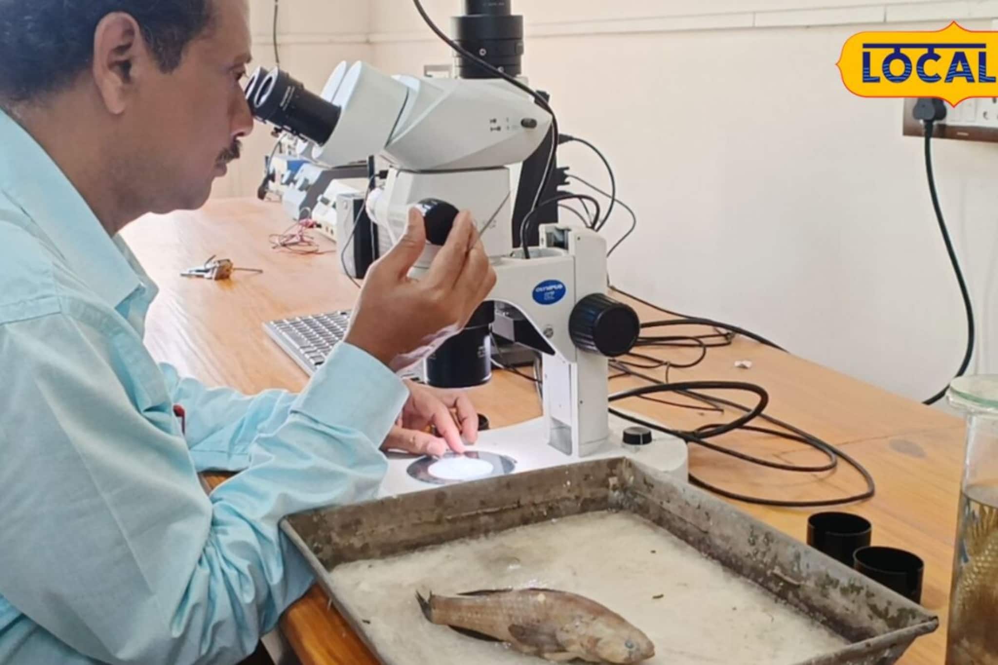 বিস্ময়কর আবিষ্কার রূপনারায়ণে! প্রাণিবিদ্যার গবেষকদের জালে উঠে এল নতুন মাছ, নাম রাখা কী