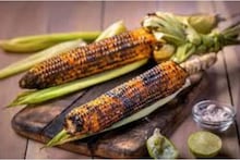 Corn (Bhutta) Benefits: অন্ত্র সাফ করে কোষ্ঠকাঠিন্যের বংশনাশ! কোলেস্টেরল জব্দ করে কমায় স্ট্রোক, হার্ট অ্যাটাকের ঝুঁকি! মেদ ঝরিয়ে ওজনও কমায় ভুট্টা