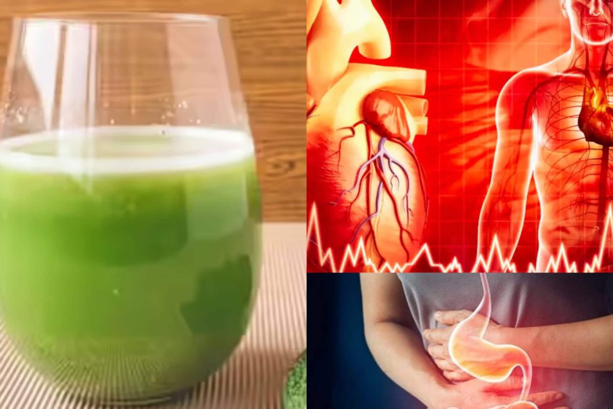  ১ গ্লাস সবুজ রসে রক্তনালী নোংরামুক্ত হয়ে ধ্বংস হৃদরোগ! গ্যাস-অম্বলের বংশনাশ হয়ে বদহজমের ছুটি!