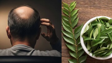 মাথায় টাক পড়ছে? ১ মুঠো কারিপাতায় জাস্ট ২ টো জিনিস মিশিয়ে মাখলেই ধীরে ধীরে উধাও টাক! জন্মাবে নতুন চুল 