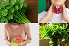 Thyroid & Uric Acid: থাইরয়েড, ইউরিক অ্যাসিডের মহৌষধ! কোলেস্টেরল, ব্লাড সুগার জব্দ করতেও সুপারহিট ধনেপাতা