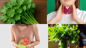  থাইরয়েড, ইউরিক অ্যাসিডের মহৌষধ! কোলেস্টেরল, ব্লাড সুগার জব্দ করতেও সুপারহিট ধনেপাতা