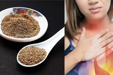 Ajwain Eating Tips: বদহজম ঠিক করার জন্য মুঠো মুঠো জোয়ান খান? এই ‘১’ ভুলেই নষ্ট হয়ে যাবে পুরো হজমশক্তি! মনে রাখবেন!