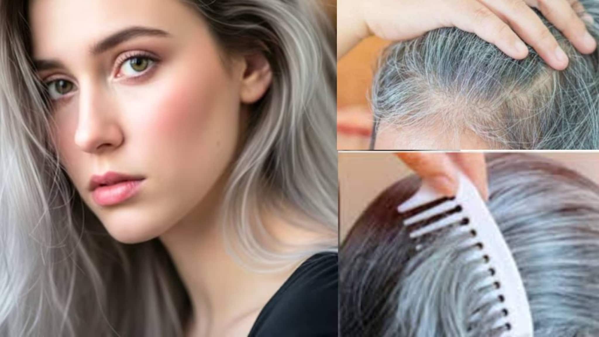 Turning White Hair into Black: দামী কলপ-কালার ছাড়াই গায়েব পাকা চুল! নারকেল তেলে ১ চামচ ‘এই’ গুঁড়ো মিশিয়ে গরম করে মাখলেই কালো হবে মাথার সব সাদা চুল!