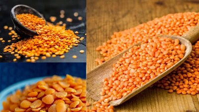 ভাতের সঙ্গে মুসুরডালের কম্বিনেশন জুড়িহীন৷ বাঙালি হেঁশেলে মুসুরডালের ব্যবহার খুবই বেশি৷ মুসুরডালের উপকারিতা প্রচুর৷ এই ডালে প্রোটিন বেশি এবং ক্যালরি কম৷ তাই ওজন কমাতে চাইলে ডায়েটে রাখুন এই ডাল৷ প্রোটিনের জন্য পেশি গঠনে সাহায্য করে মুসুরডাল৷ বাঙালি হেঁশেলে মুসুরডালের প্রচলন তথা দাপট দীর্ঘ দিনের৷ সিদ্ধ বা ফোড়ন দিয়েই হোক৷ অথবা রাতভর ভিজিয়ে রেখে বড়া৷ নানা স্বাদে, নানা অবতারে ধরা দেয় এই জনপ্রিয় পুষ্টিকর ডাল৷ ভাতের সঙ্গে এই ডালের যুগলবন্দি অতুলনীয়৷