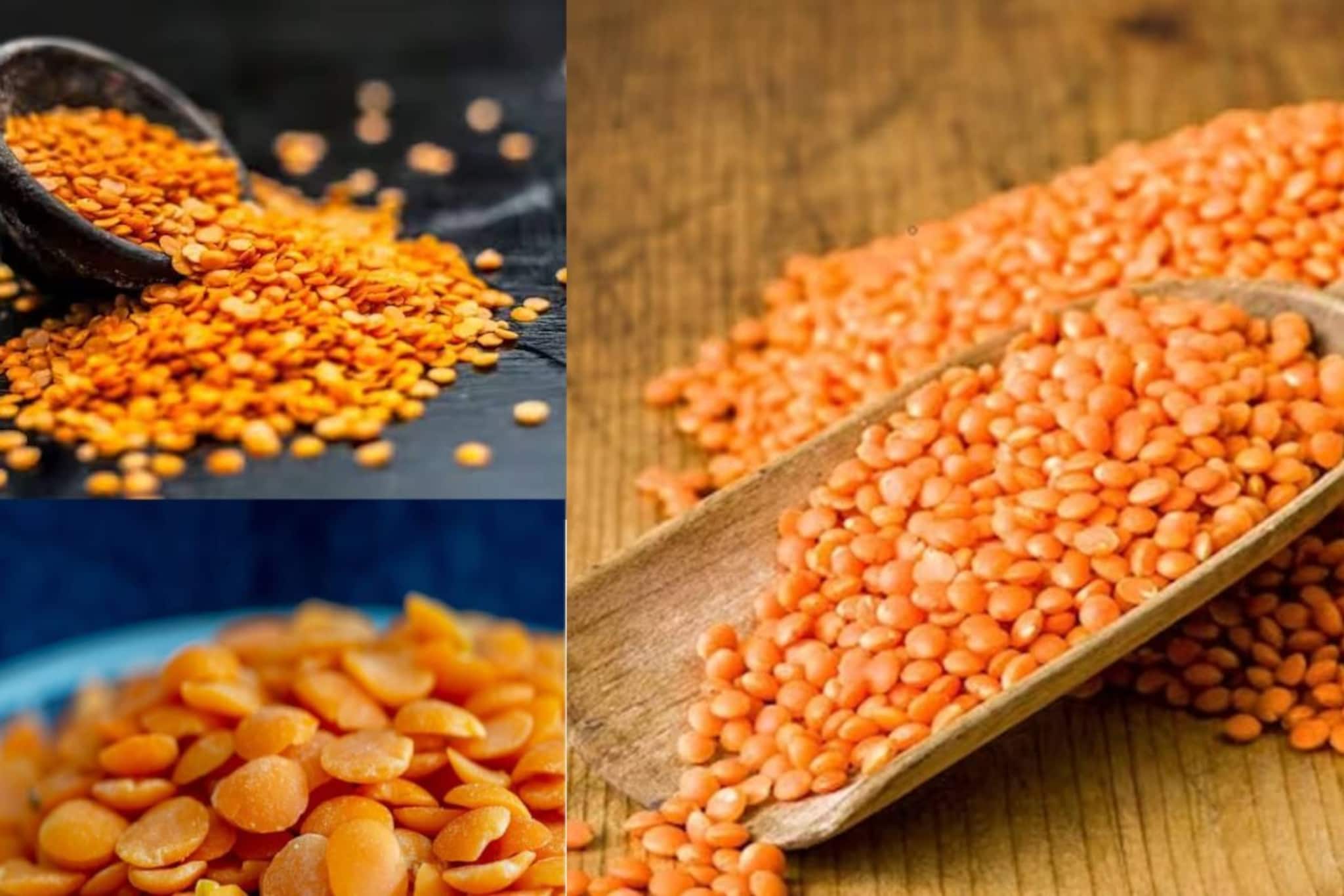 মুসুরডাল মুখে দিলেই বড় সর্বনাশ এঁদের! জানুন উপকারী হলেও কারা ভুলেও এটা খাবেন না! খেলেই চরম ক্ষতিতে ঝাঁঝরা শরীর! মুসুরডাল মুখে দিলেই বড় সর্বনাশ এঁদের! জানুন উপকারী হলেও কারা ভুলেও এটা খাবেন না! খেলেই চরম ক্ষতিতে ঝাঁঝরা শরীর!