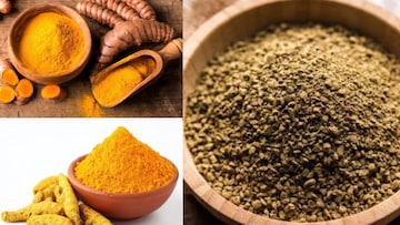 এই গুঁড়োর সঙ্গে ১ চিমটে হলুদ মিশিয়ে খেলেই শরীর থেকে সাফ সব বর্জ্য! ব্লটিং পেপারের মতো শুষে নেবে আলস্য আর দুর্বলতাকে