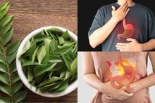 Curry Leaves to Stop White Hair: ৫ টা কারিপাতা এভাবে খেলেই নির্মূল বদহজম! বন্ধ চোঁয়াঢেকুর! কমবে ওজন! গায়েব সাদা চুল!