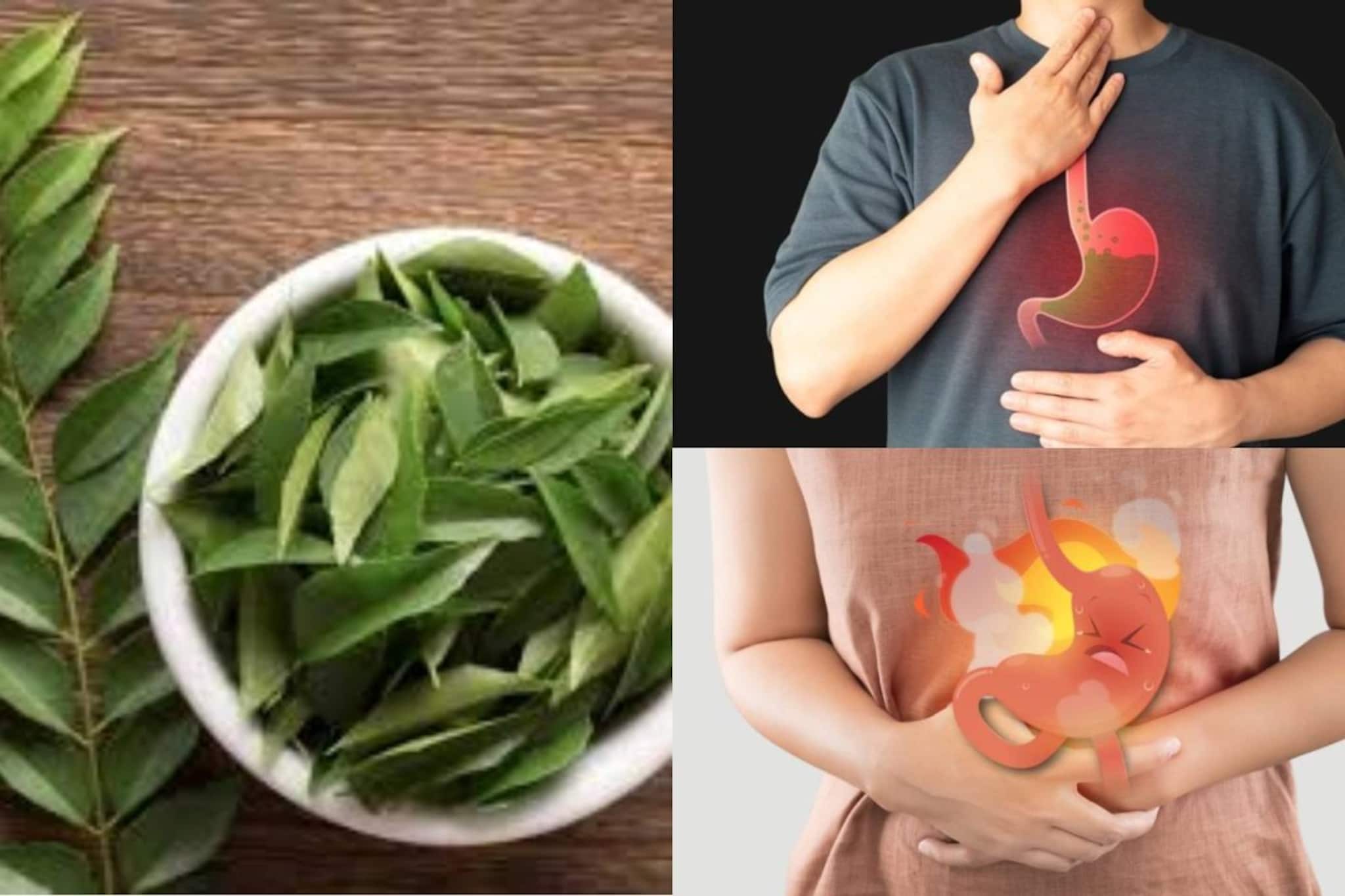 ৫ টা কারিপাতা এভাবে খেলেই নির্মূল বদহজম! বন্ধ চোঁয়াঢেকুর! কমবে ওজন! গায়েব সাদা চুল!