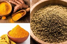 Detox Drink: এই গুঁড়োর সঙ্গে ১ চিমটে হলুদ মিশিয়ে খেলেই শরীর থেকে সাফ সব বর্জ্য! ব্লটিং পেপারের মতো শুষে নেবে আলস্য আর দুর্বলতাকে