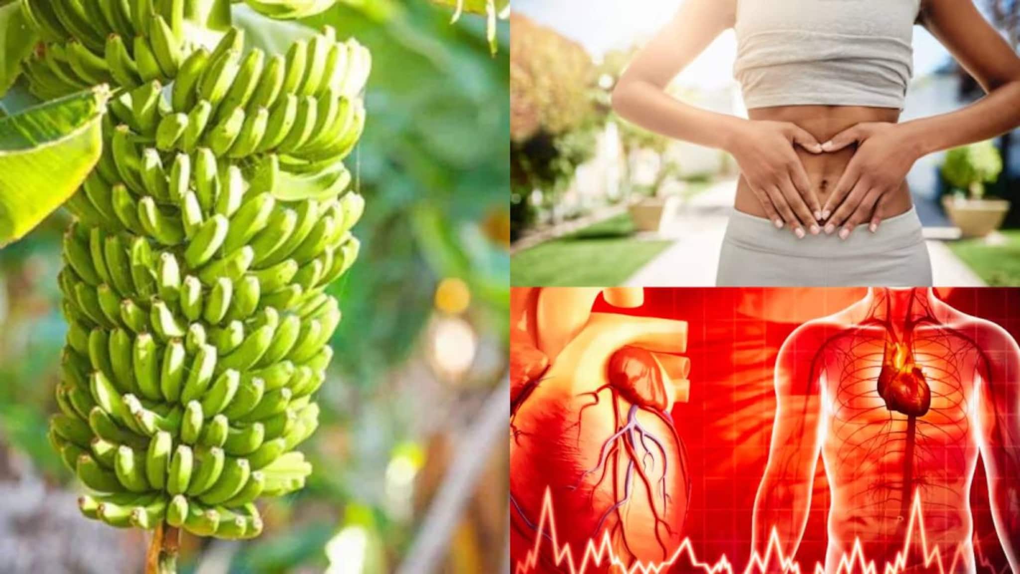 Raw Banana to control Gut Health: কাঁচকলার পাকা কাজ! ভাতের সঙ্গে এভাবে খেলেই টেনে বার করে অন্ত্রের খারাপ জীবাণু! ব্লাড সুগার, হাইপ্রেশারকে জব্দ করে ঠেকিয়ে রাখে হৃদরোগ