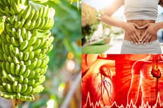 কাঁচকলার পাকা কাজ! ভাতের সঙ্গে এভাবে খেলেই টেনে বার করে অন্ত্রের খারাপ জীবাণু! ব্লাড সুগার, হাইপ্রেশারকে জব্দ করে ঠেকিয়ে রাখে হৃদরোগ