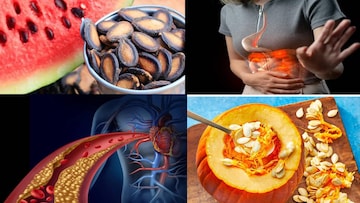 তরমুজ-কুমড়োর বীজ ফেলবেন না! ‘এভাবে’ খেলেই কোলেস্টেরল কমে দূর হৃদরোগ! কোষ্ঠকাঠিন্য-গ্যাস-বদহজম কমে পরিষ্কার পেট!