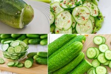 Foam in Cucumber: শসার ডগা ঘষলে সাদা ফেনা কেন বার হয়? এটা খাওয়া কি বিপজ্জনক? কতটা ক্ষতিকর? জেনে নিন এখনই