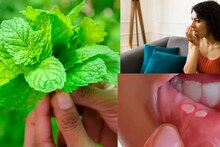 Mouth Ulcer & Mouth Odour: জন্ডিসের মহৌষধ! অ্যাসিডিটি, গ্যাসের ব্রহ্মাস্ত্র! এই পাতার শক্তিশেলে ঘায়েল মুখের পচা গন্ধ থেকে ঘা!