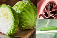 Cabbage & Tape Worm: বাঁধাকপি খেলে মস্তিষ্কে বাসা বাঁধে কৃমি? সুস্বাদু হলেও কতটা ক্ষতিকর ও বিপজ্জনক এই সবজি? জানুন