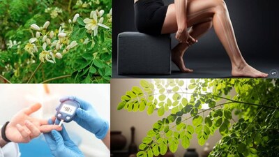 আয়ুর্বেদে মরিঙ্গা একটি পুষ্টিকর ও ঔষধি উদ্ভিদ, যাকে সুপারফুড হিসেবে গণ্য করা হয়। এর পাতা, ফল, ফুল এবং শিকড় বাত, ডায়াবেটিস, হজমের সমস্যা, দুর্বলতা এবং ত্বকের সমস্যায় উপকারী। এটি শরীরের রোগ প্রতিরোধ ক্ষমতা বাড়ায় এবং ক্যালসিয়াম ও আয়রনের একটি সমৃদ্ধ উৎস।