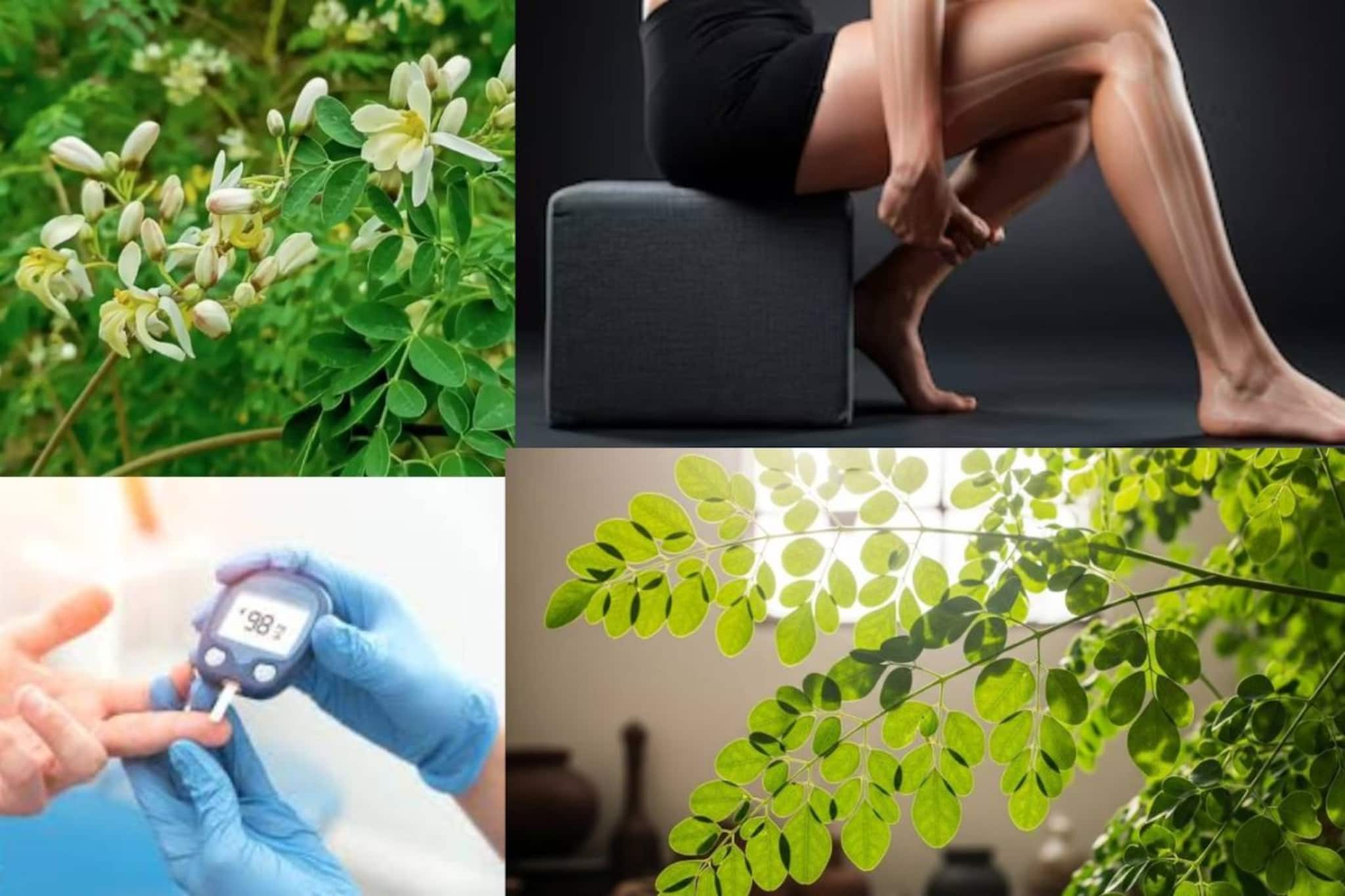 পুষ্টির ভান্ডার! গেঁটে বাত, কোষ্ঠকাঠিন্য, ব্লাড সুগার-সহ ৩০০ রোগে শক্তিশেল এই সবজির গাছ! শিকড় থেকে উপড়ে ফেলে ৩০০ রকম বিষাক্ত বিপদকে পুষ্টির ভান্ডার! গেঁটে বাত, কোষ্ঠকাঠিন্য, ব্লাড সুগার-সহ ৩০০ রোগে শক্তিশেল এই সবজির গাছ! শিকড় থেকে উপড়ে ফেলে ৩০০ রকম বিষাক্ত বিপদকে